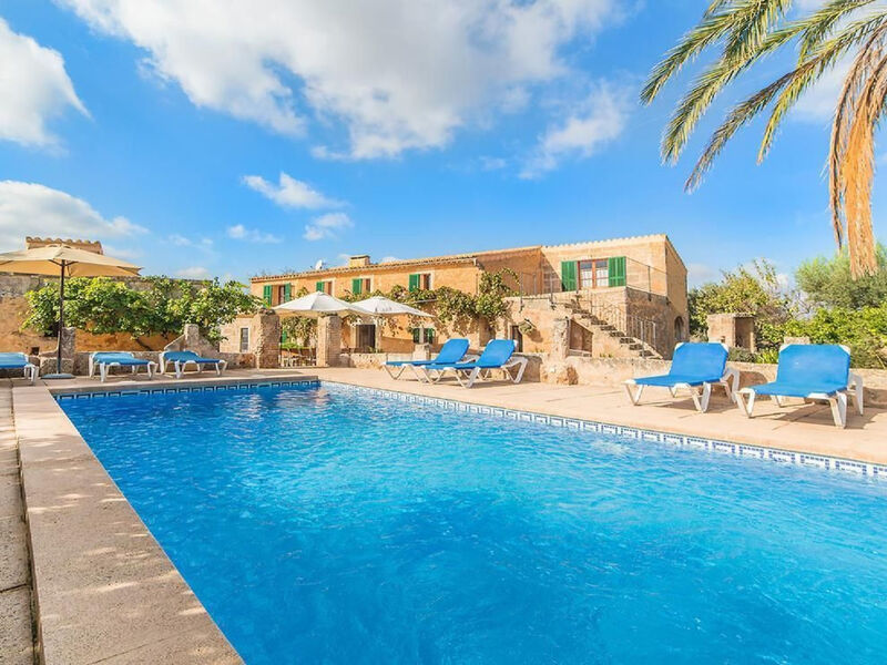 Finca Olivia