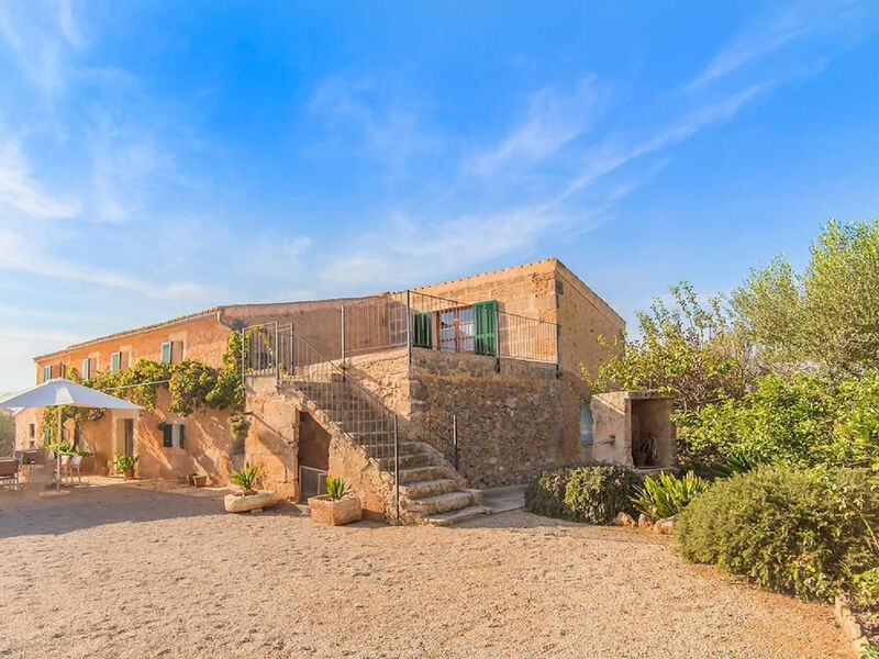 Finca Olivia