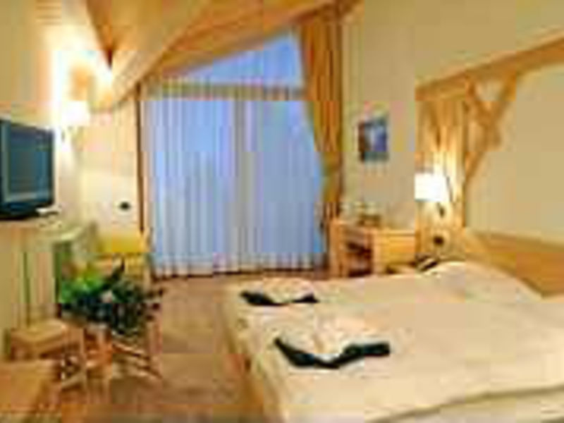 Hotel Alpine Mugon