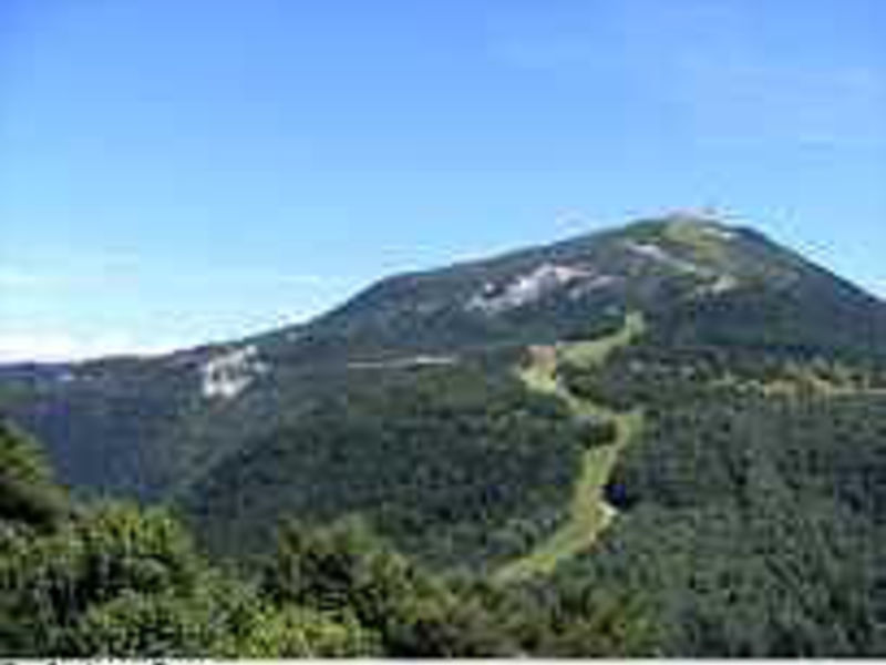 Hotel Alpine Mugon