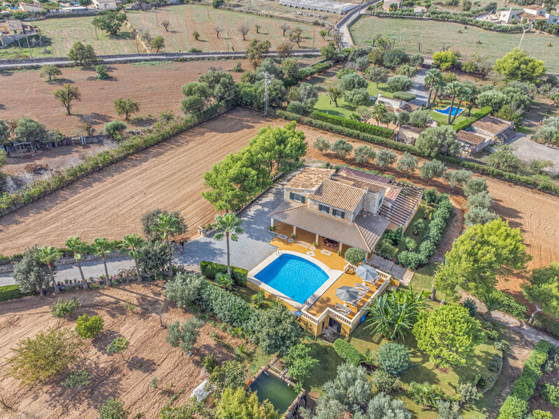 Finca Hort Des Xilindro