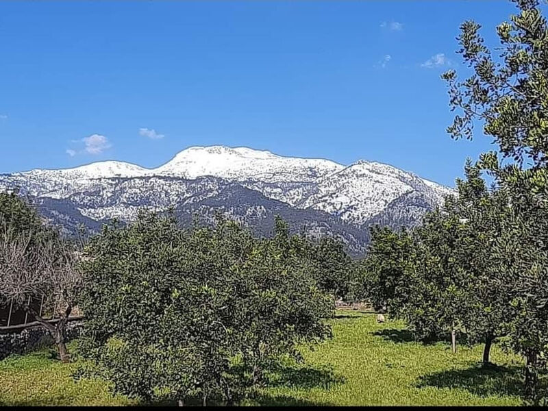 Casa Bella Mirada