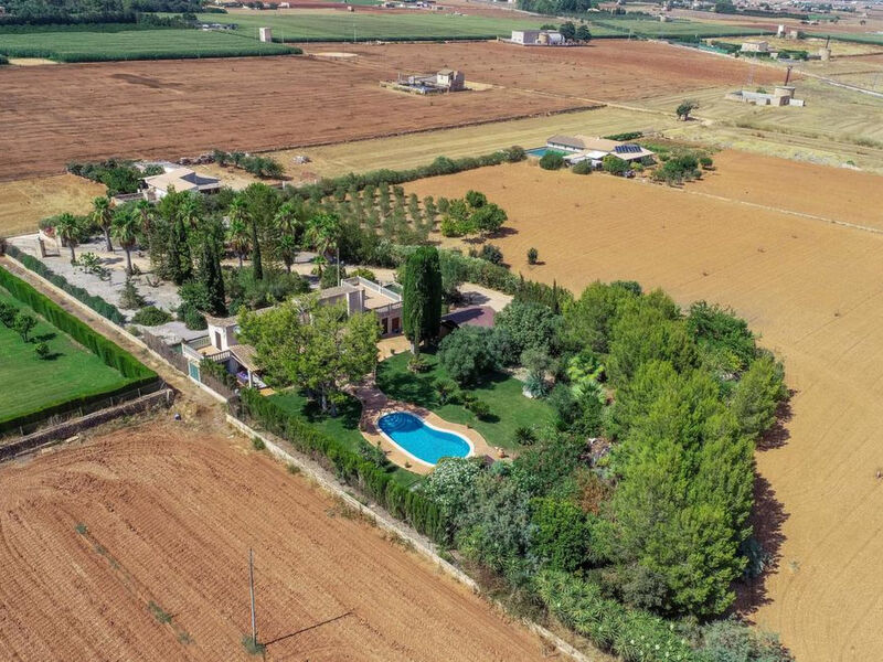 San Vicente