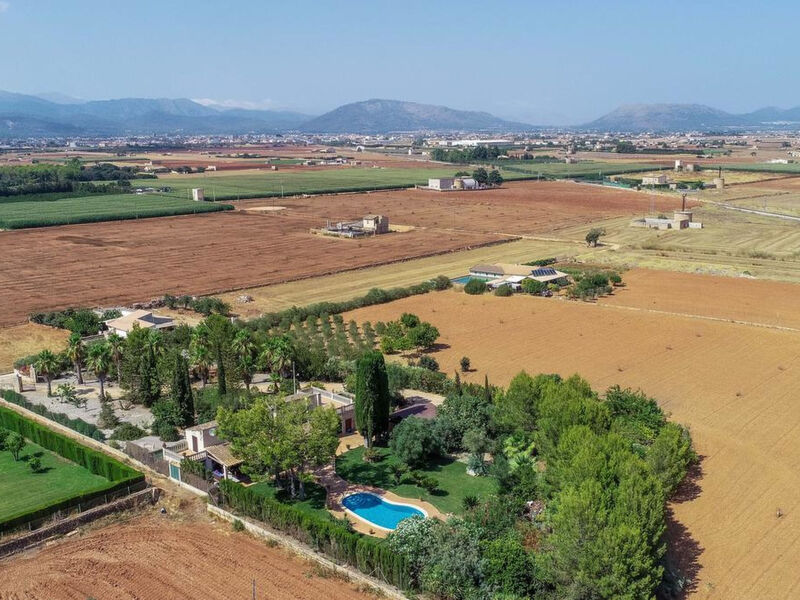 San Vicente