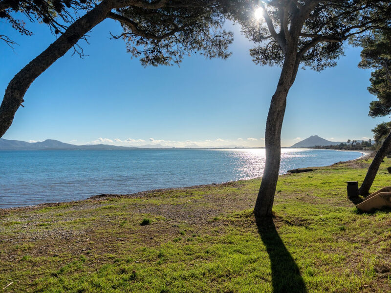 Oratge Beach Views