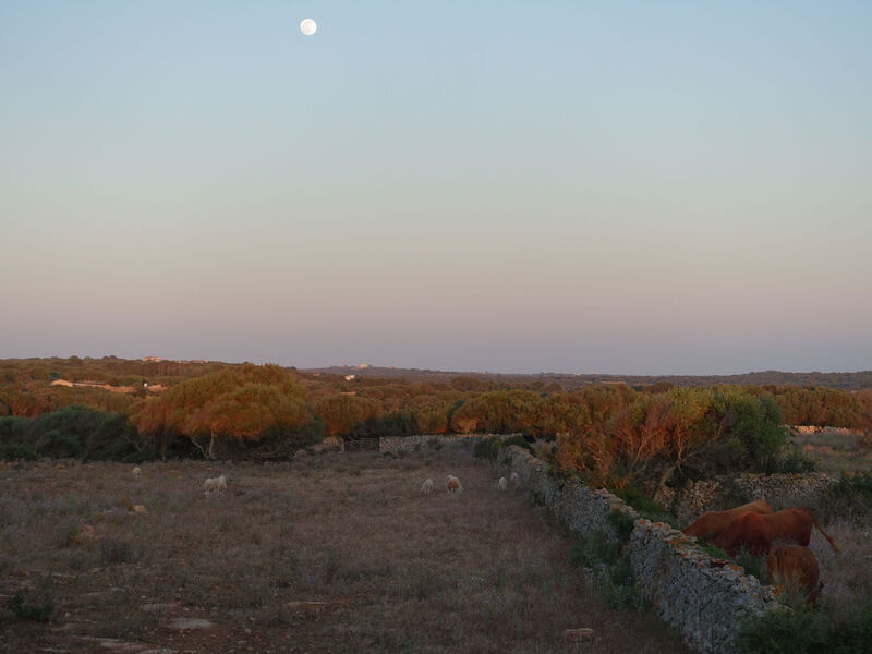 Casita Menorca Privé