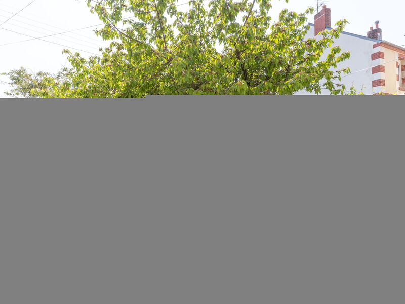 Le Mimosa Normand