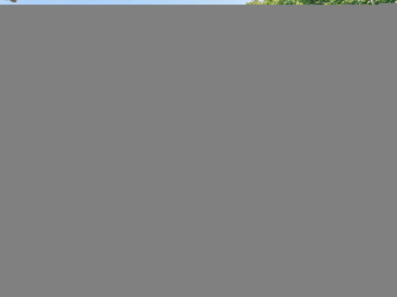 Le Nyce