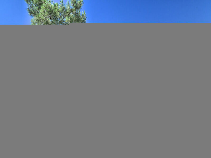 L'Horizon A