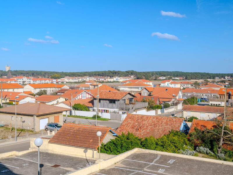 Les Goelands