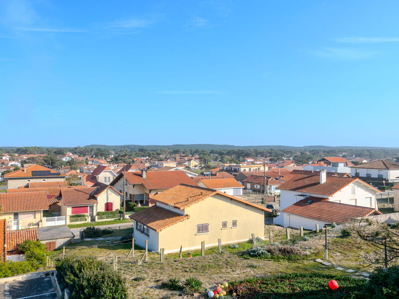 Les Goelands