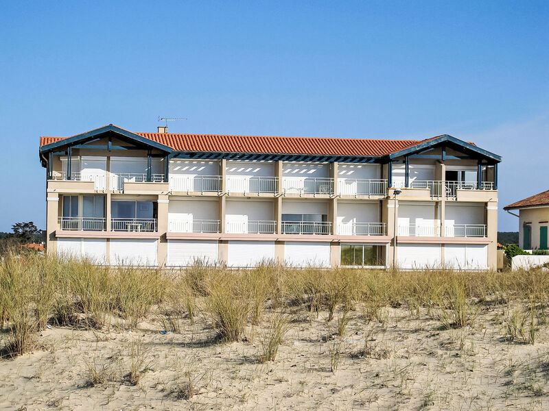 Les Goelands