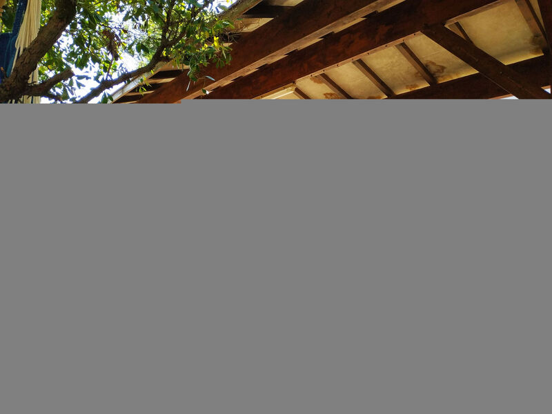 Renoviertes Haus am Rande des Landes-Waldes