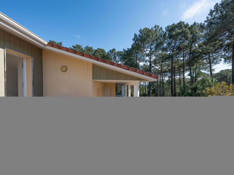 Eden Parc
