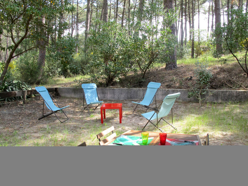 Sous Les Pins