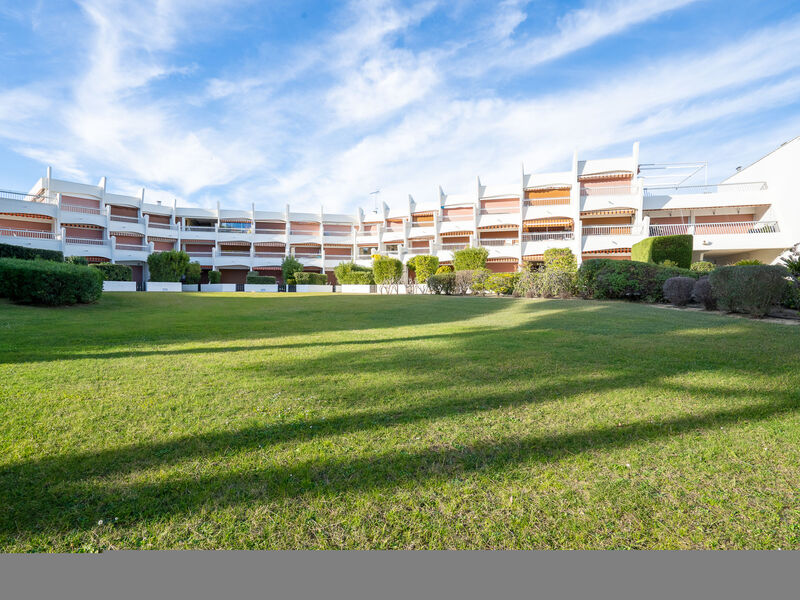 Le Cormoran