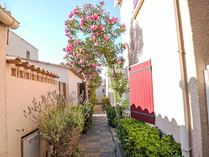 Les Leucatines 3