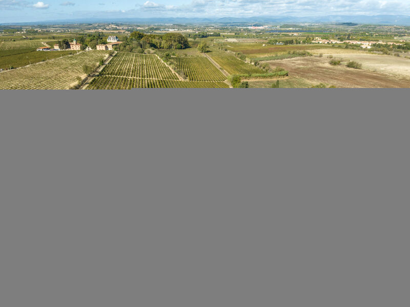 Le Clos Saint Emilie