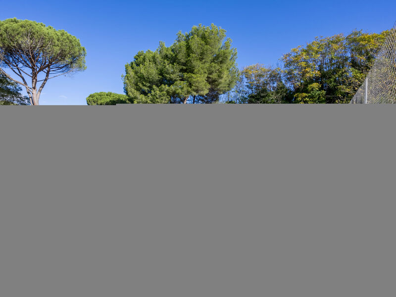 Le Clos Saint Emilie