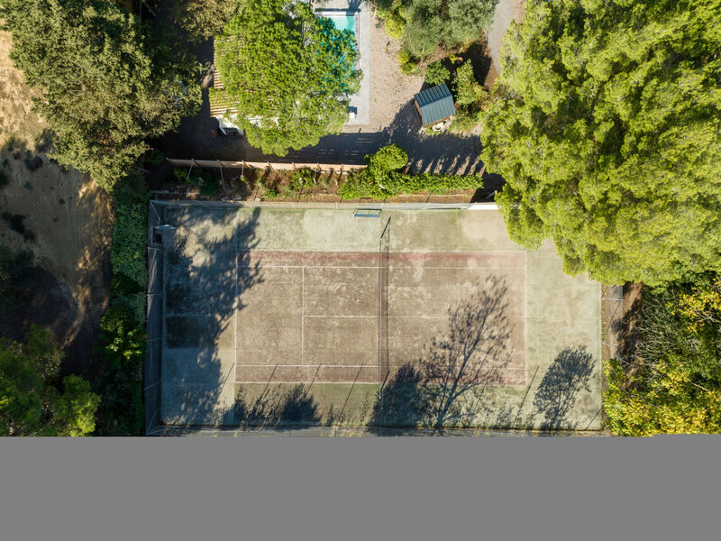 Le Clos Saint Emilie