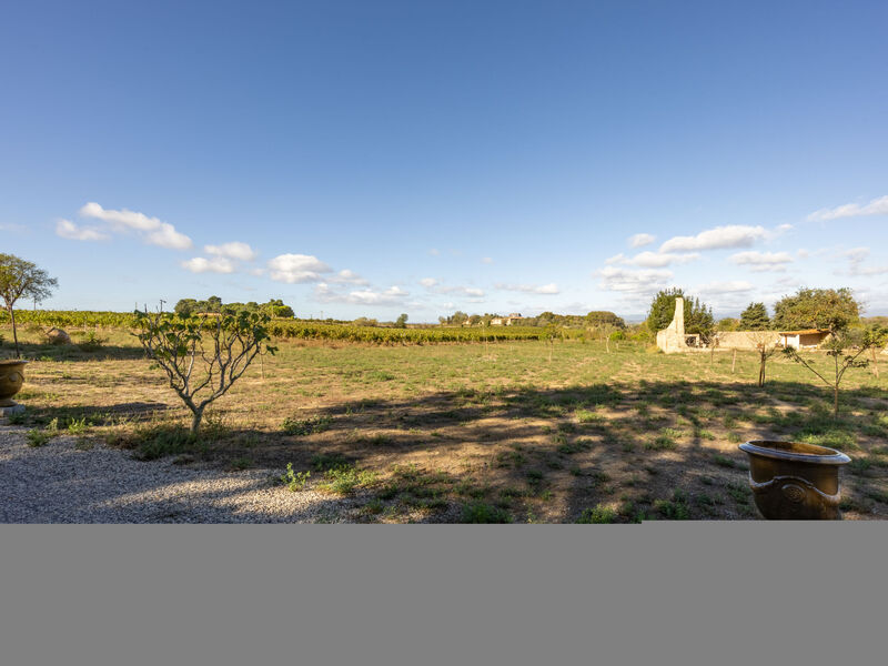 Le Clos Saint Emilie