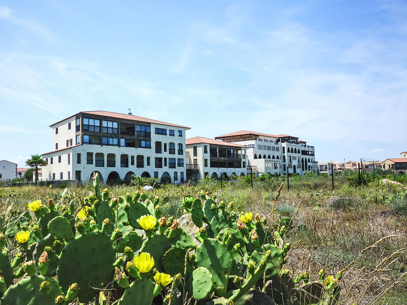 Catalona