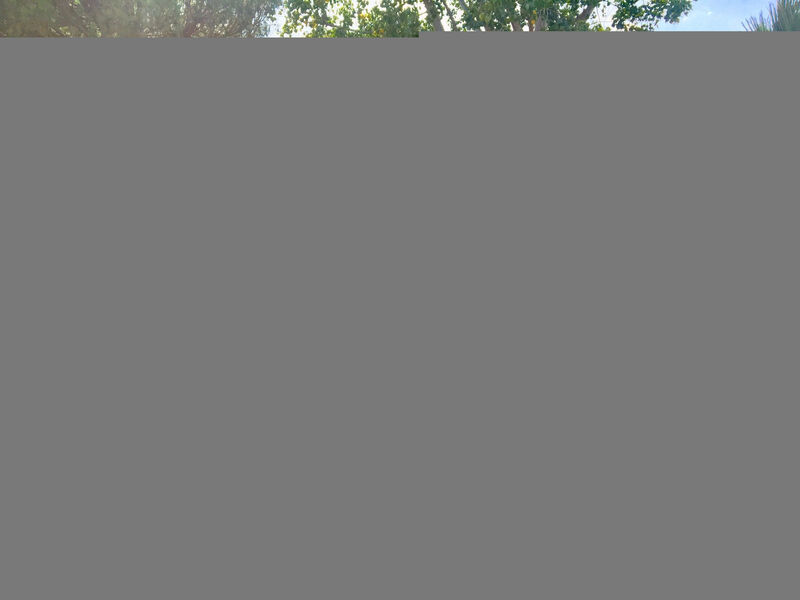 Greenchalets Argeles sur Mer ( Frankreich)