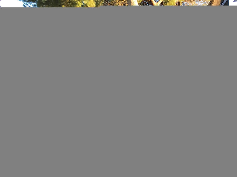 Greenchalets Argeles sur Mer ( Frankreich)
