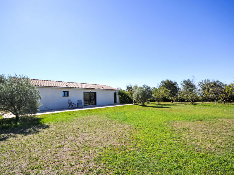 L'Oliveraie