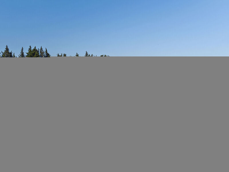 Le Mas Des Alpilles
