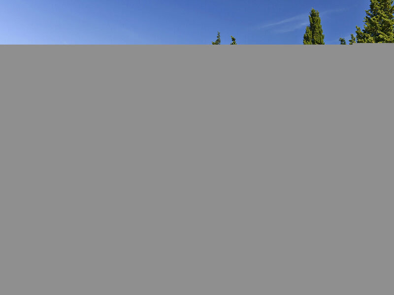Le Mas Des Alpilles