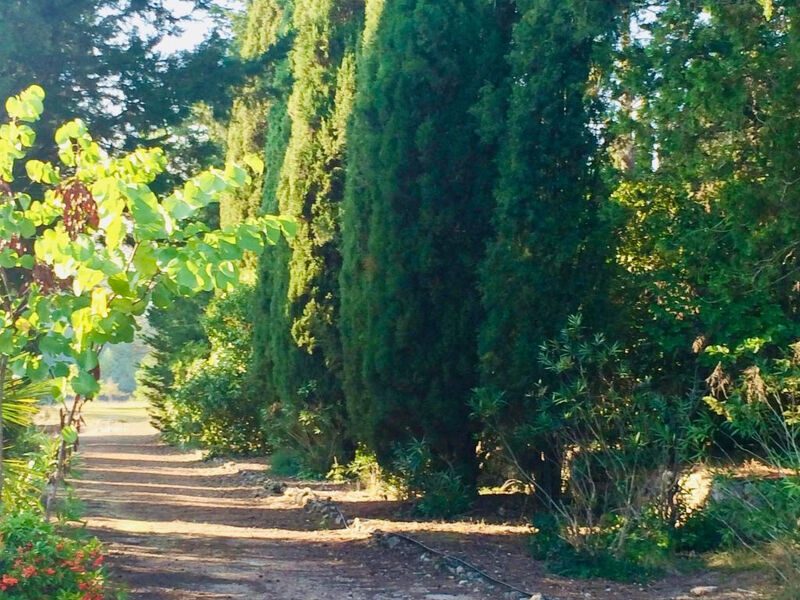 Bergerie de Peymeyan