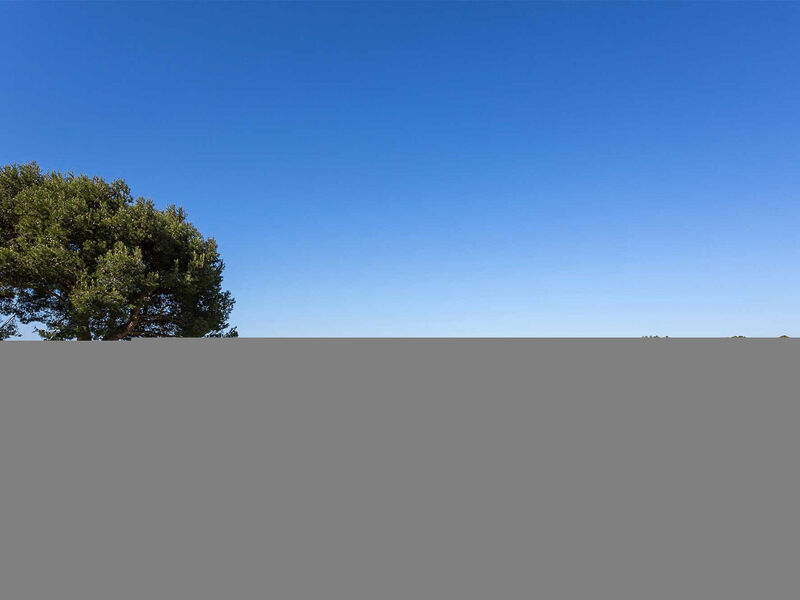 Provence Country Club / Bbf