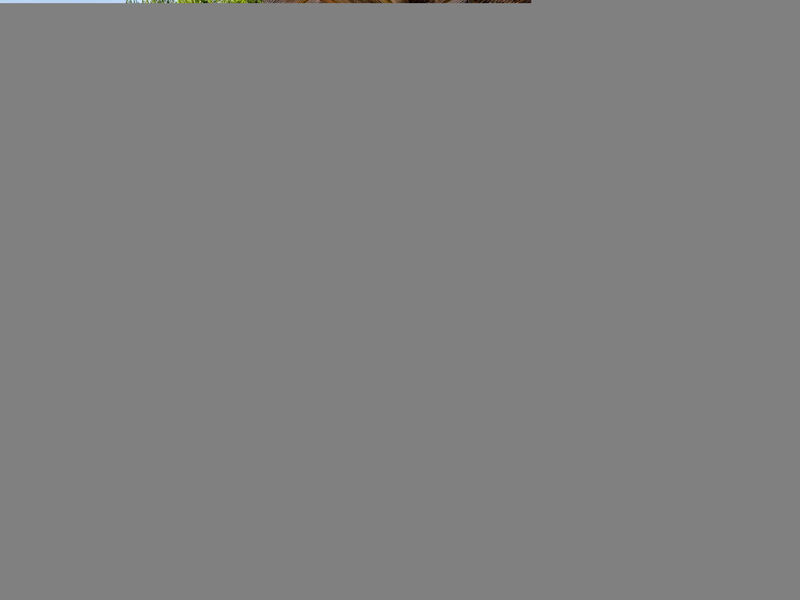 Provence Country Club / Bbf