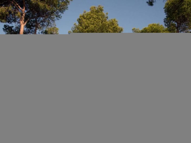 La Ribelle en Provence - Lou recati