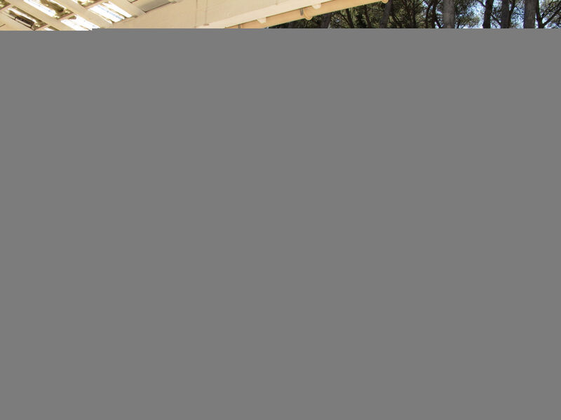 Ferienhaus Mit Pool