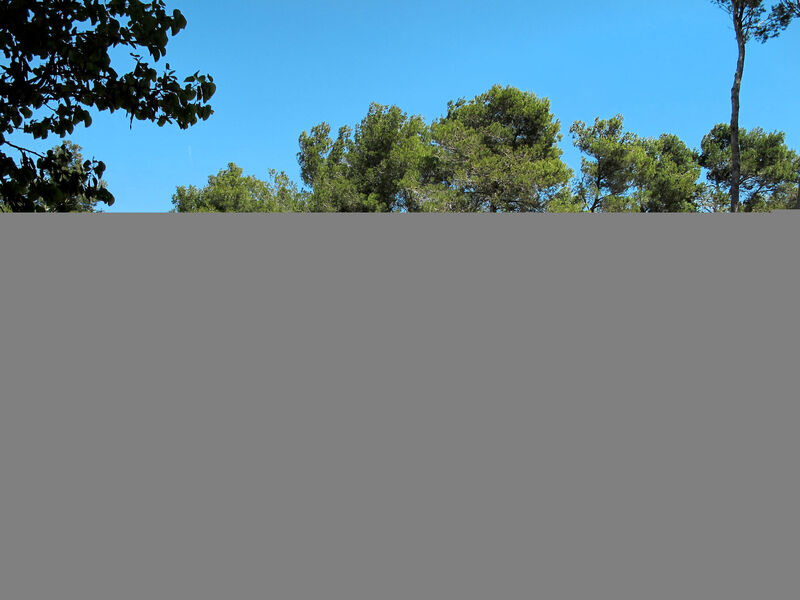 Ferienhaus Mit Pool