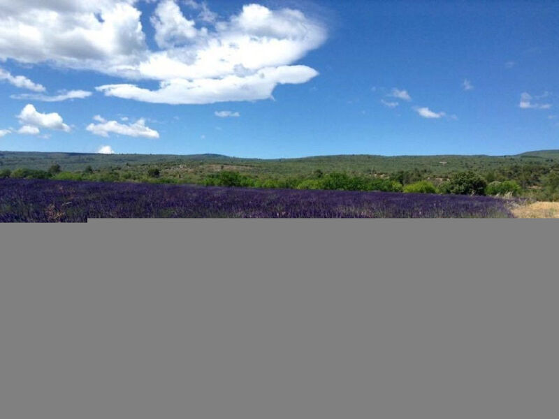 Morard - Bonnieux Appt Bleu Provence