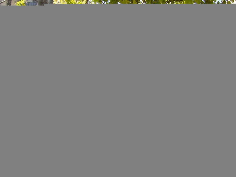 Morard - Bonnieux Appt 2. Etage