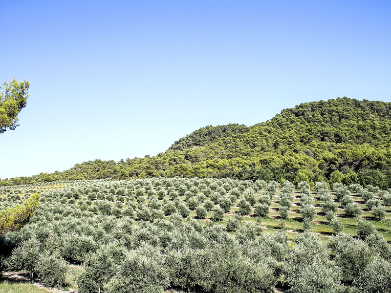 Domaine de Piegros
