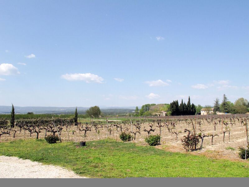 Les Vignes