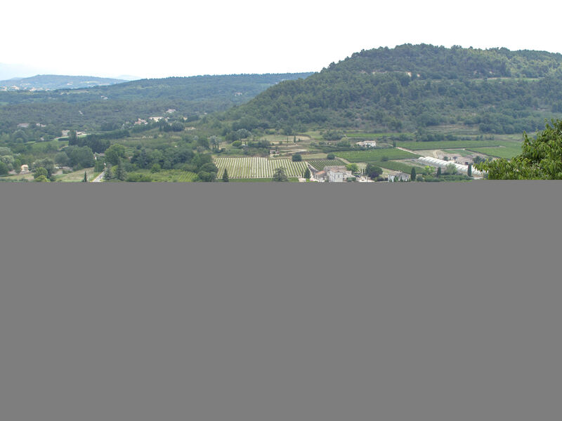 Les Vignes