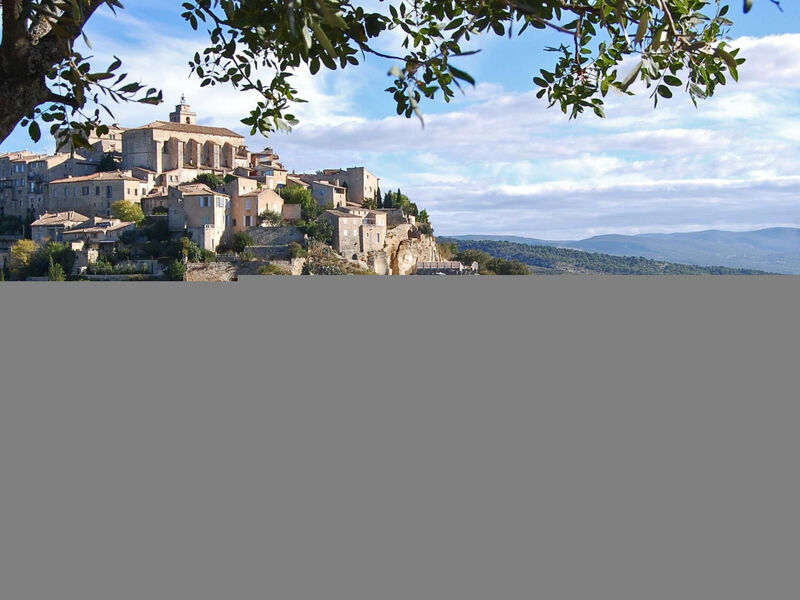 Cypres du Paradis