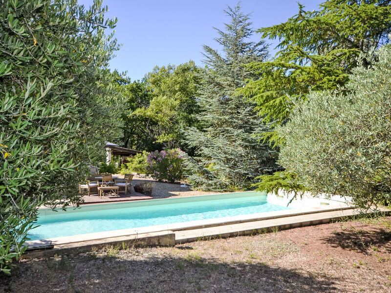 Les Iris