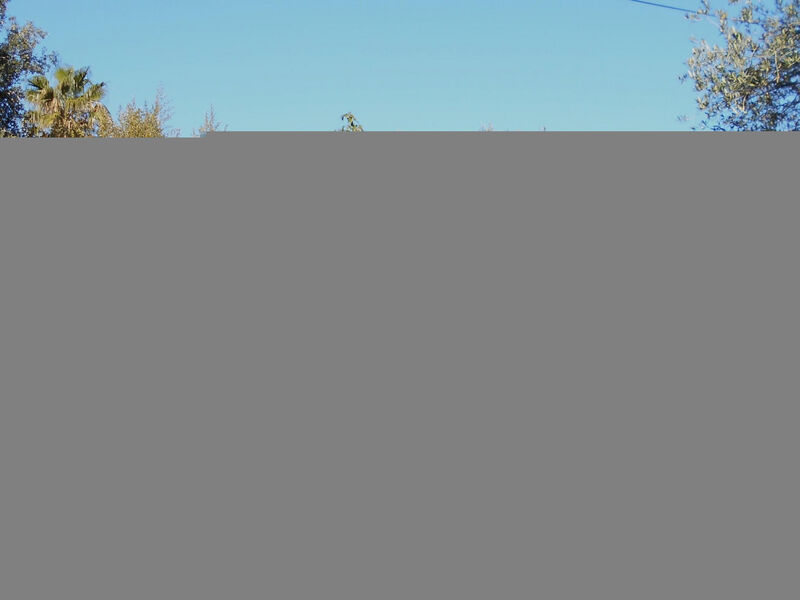 Objekt FR8340.642