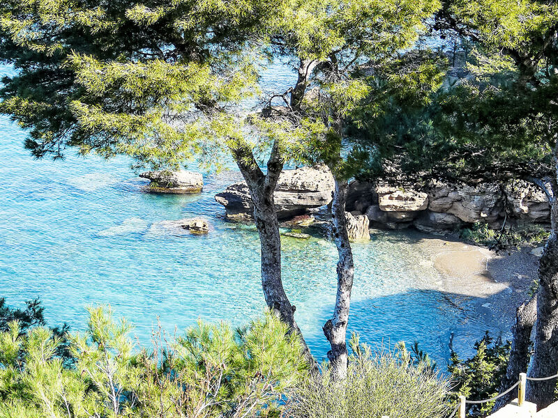 Campagne La Source