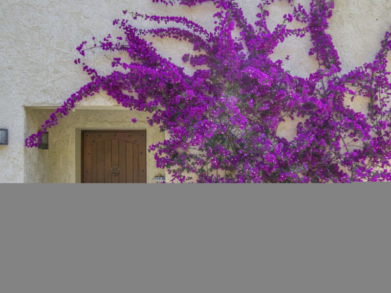 De Manou