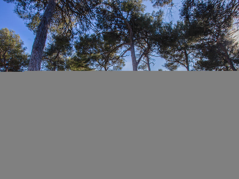 Mont Des Oiseaux