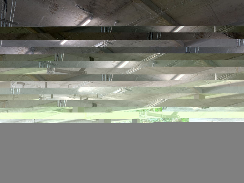 Canopy