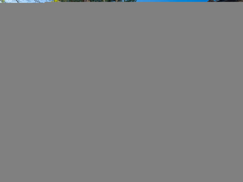 Les Terrasses de Cavalière II